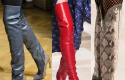 Женские зимние сапоги – модные тенденции Модные сапоги осень